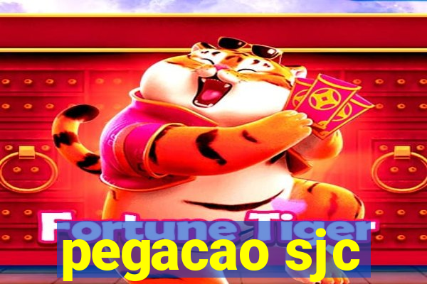 pegacao sjc